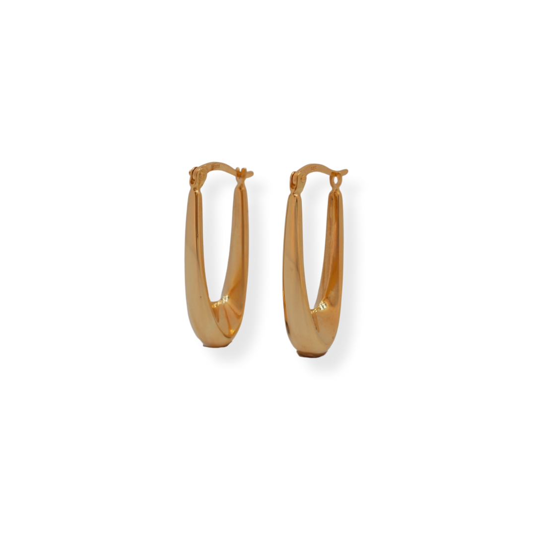 9ct gold hanging earrings