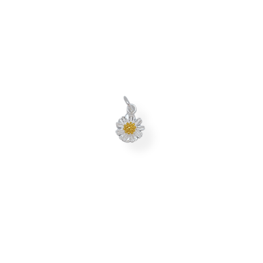 Silver daisy charm