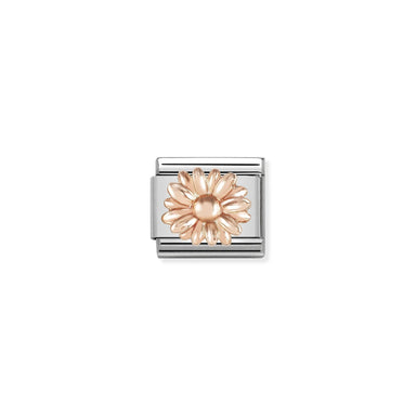Daisy in rosegold